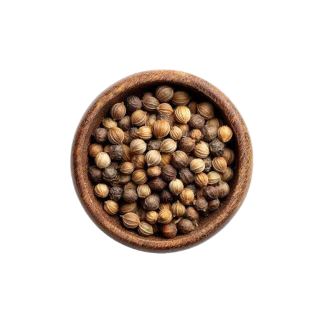 Coriander