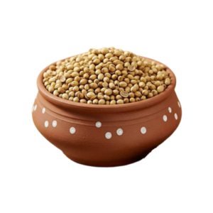 Coriander Seeds